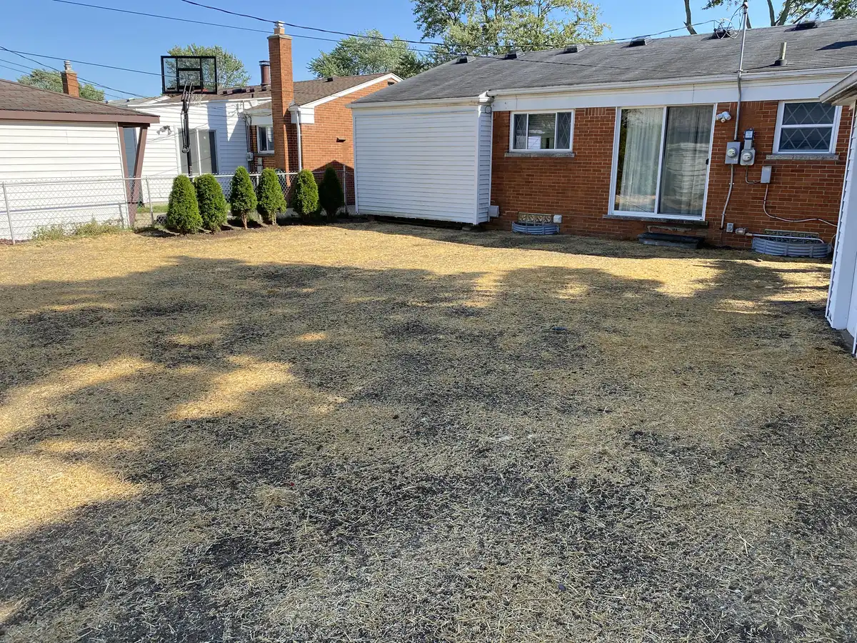 Completed french drain with restored lawn surface