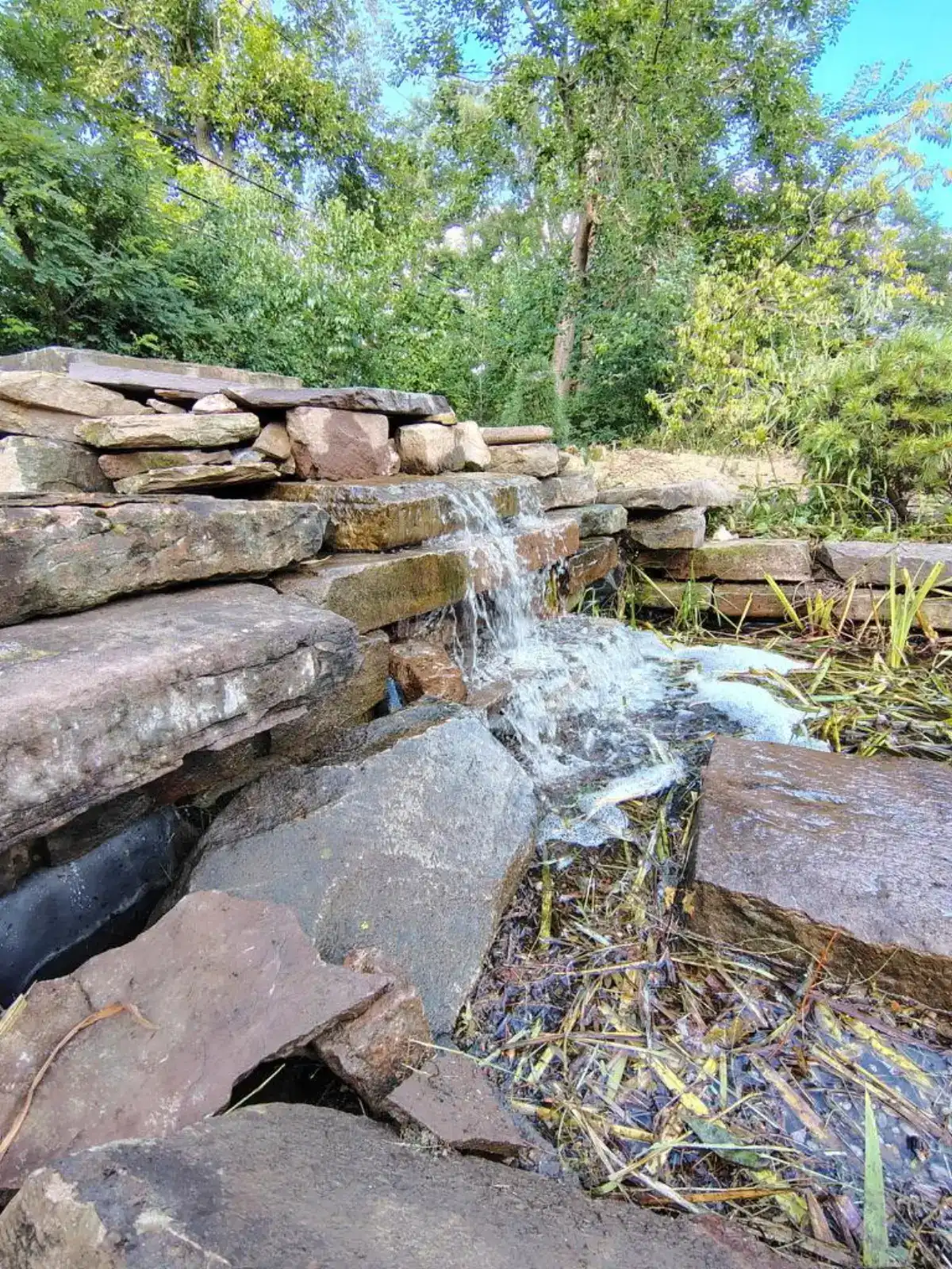 Residential pond with natural stone edging and water lilies