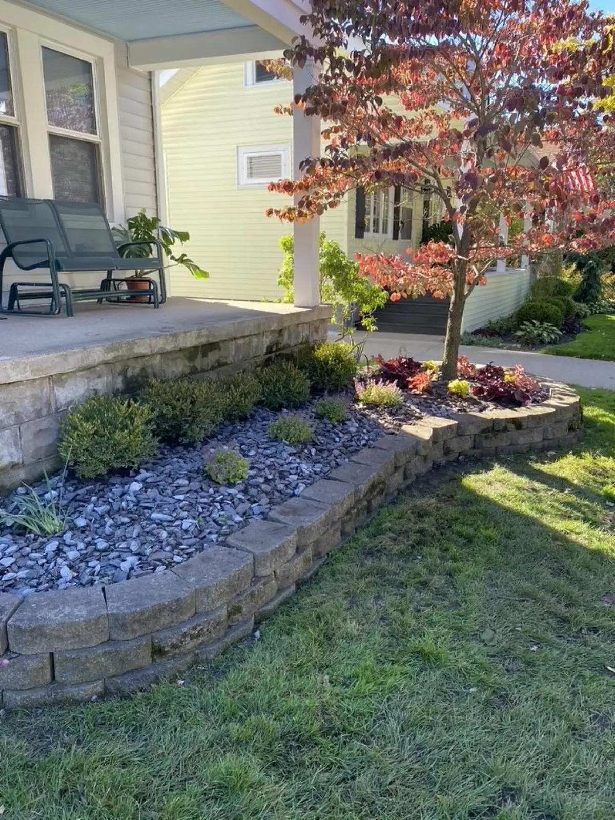 Ornamental red maple with boxwood shrubs and stone retaining wall