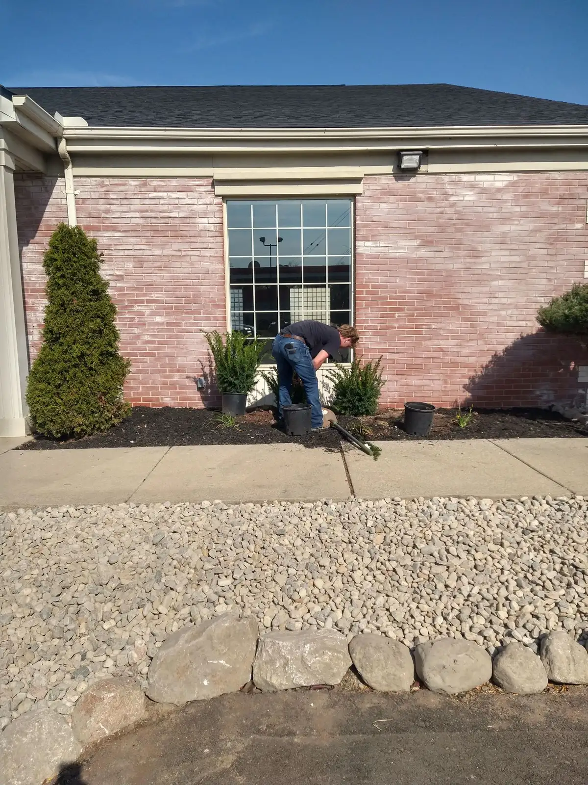 Landscaping insights and tips from The Guy Outdoor Services
