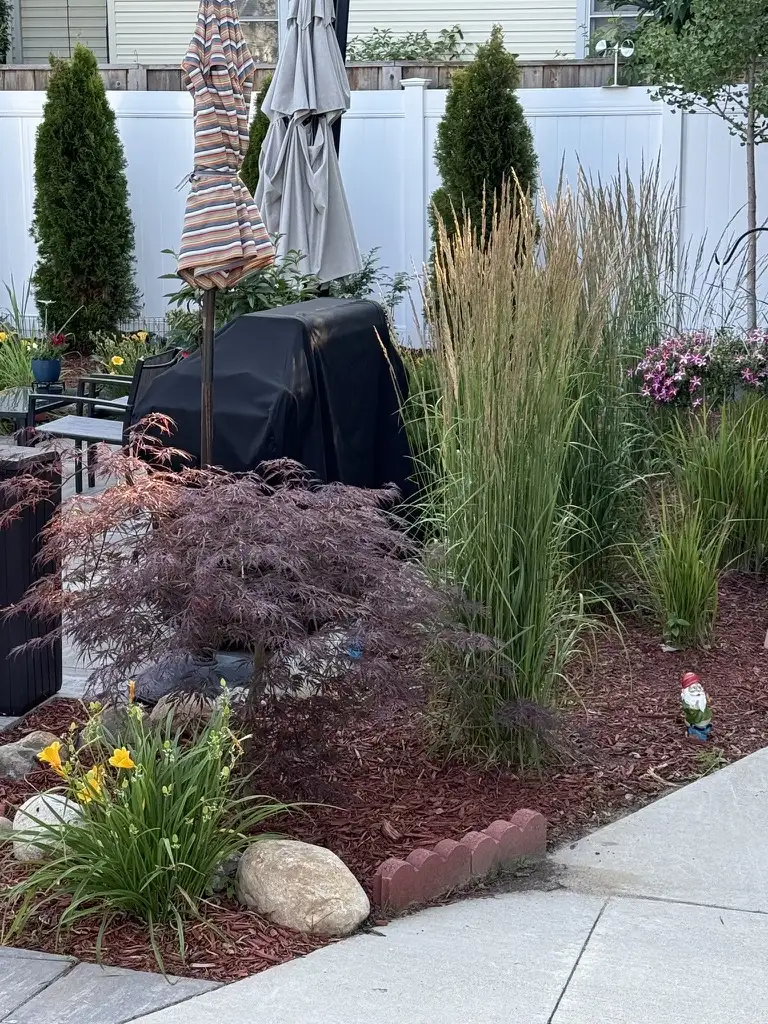 Fresh mulch bed with clean edging and healthy plantings by The Guy Outdoor Services