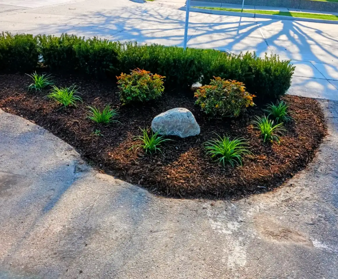 Professional landscaping services in Royal Oak, MI