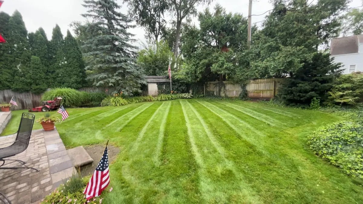 Spring lawn renovation and overseeding on a Metro Detroit residential property