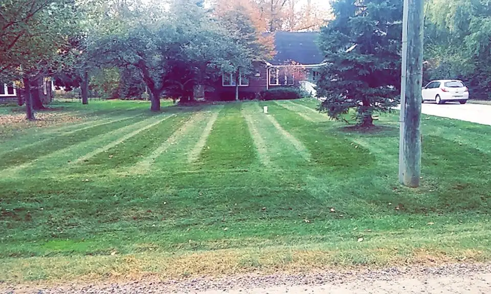Lush, healthy lawn demonstrating professional fertilization results
