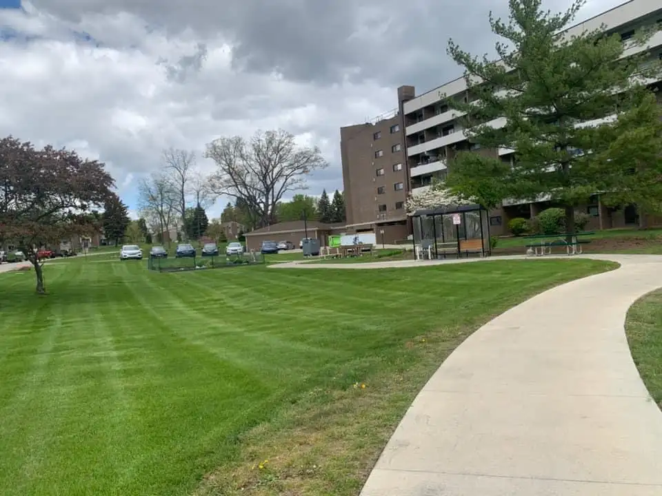 Professional lawn aeration results on a commercial property