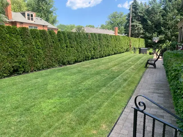Spring cleanup with fresh bed edging and debris removal in Troy