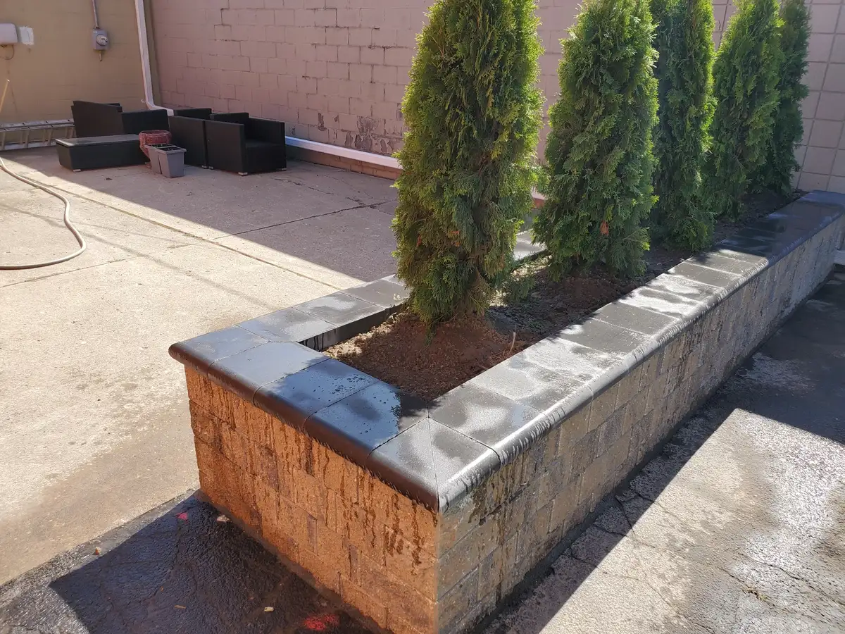 Commercial block retaining wall planter with arborvitae privacy screen