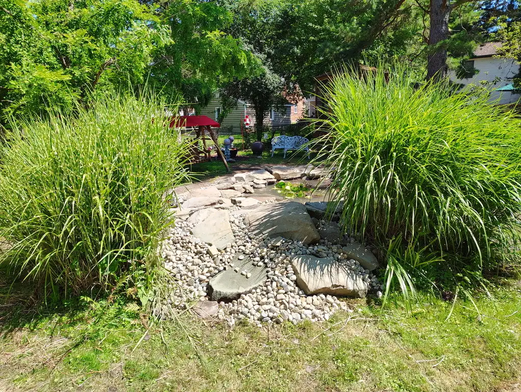 Natural stream bed with flagstones, pebbles, and tall ornamental grasses