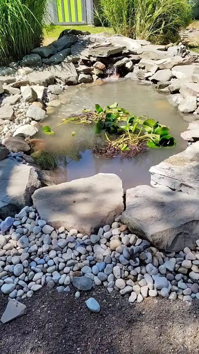 Garden pond with natural stone edging and aquatic plants