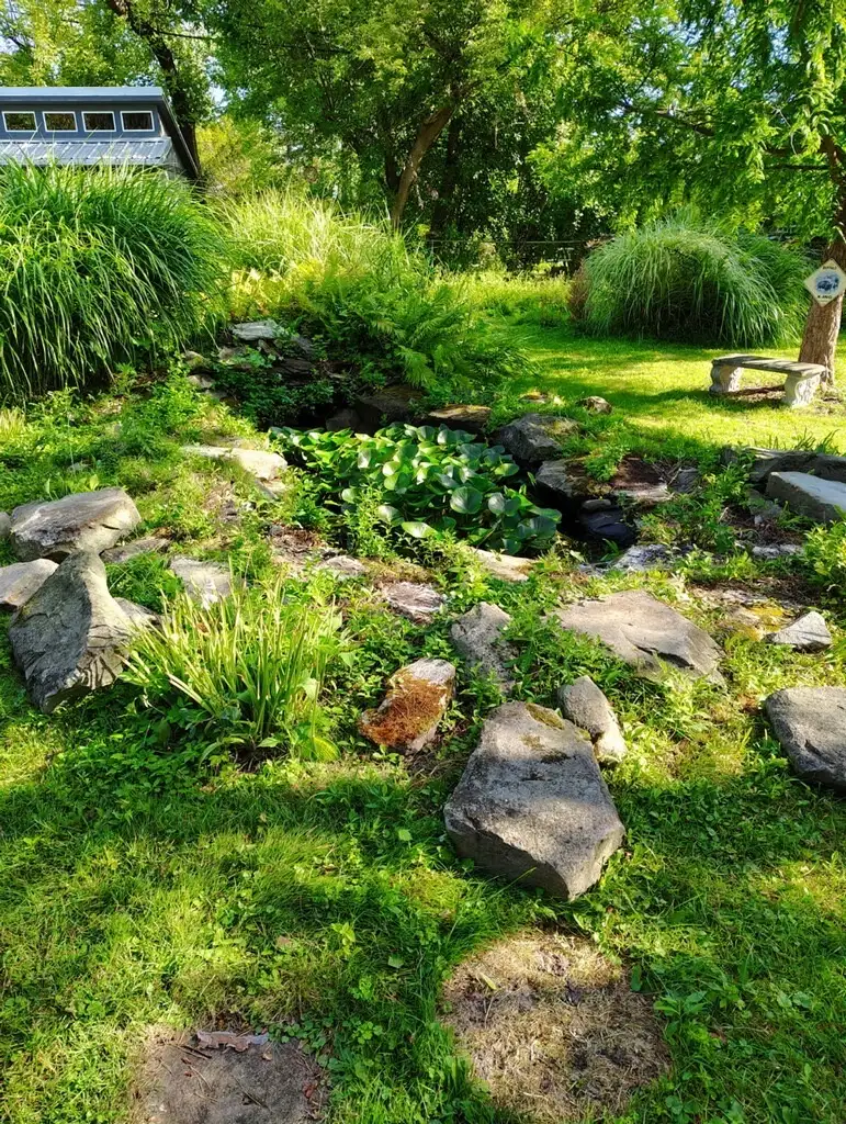 Naturalistic water garden with lily pads, stone borders, and tall grasses