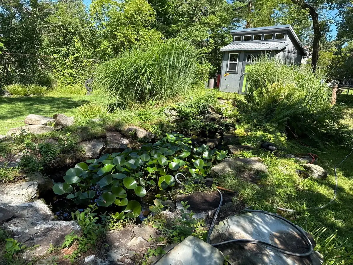 Mature pond with lily pads, stone borders, and established plants