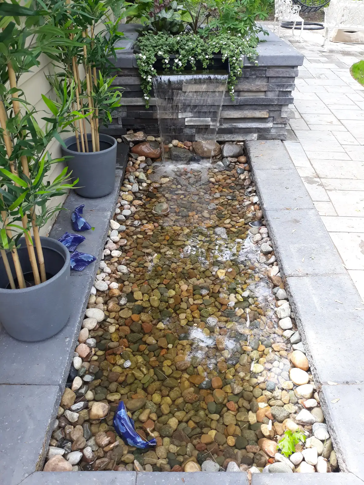 Large backyard pond ecosystem with filtration, fish, and marginal plants