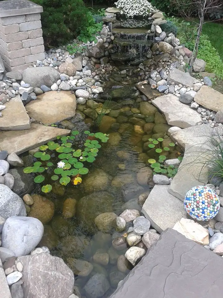 Stream pond with white water lily, cascading waterfall, and natural stone edging by The Guy Outdoor Services
