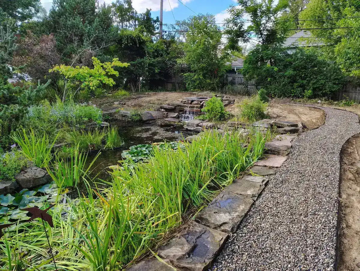 Large naturalistic water garden with aquatic plants, stone edging, and gravel walking path