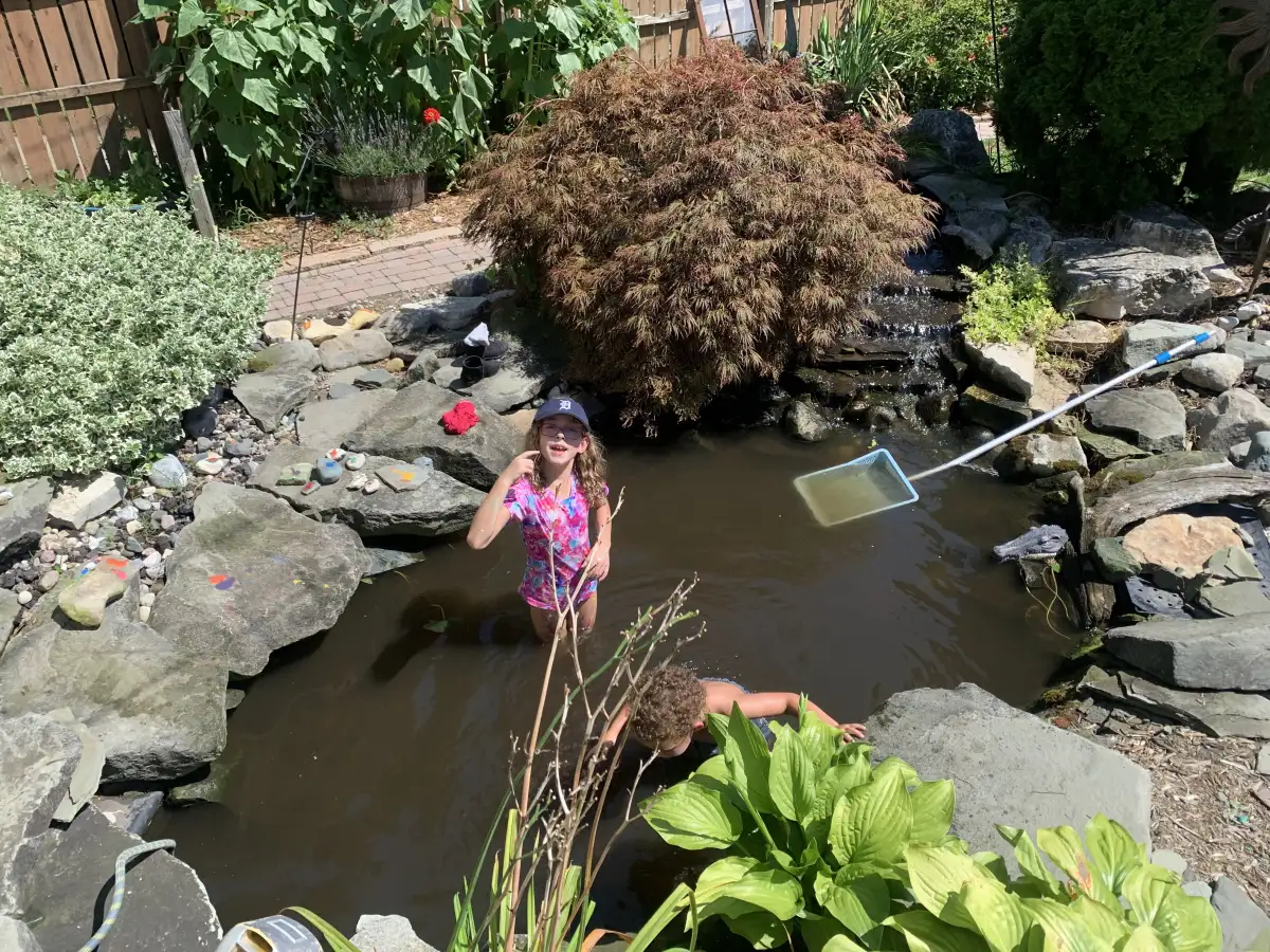 Raised stone basin water feature with spillway and flowering plants