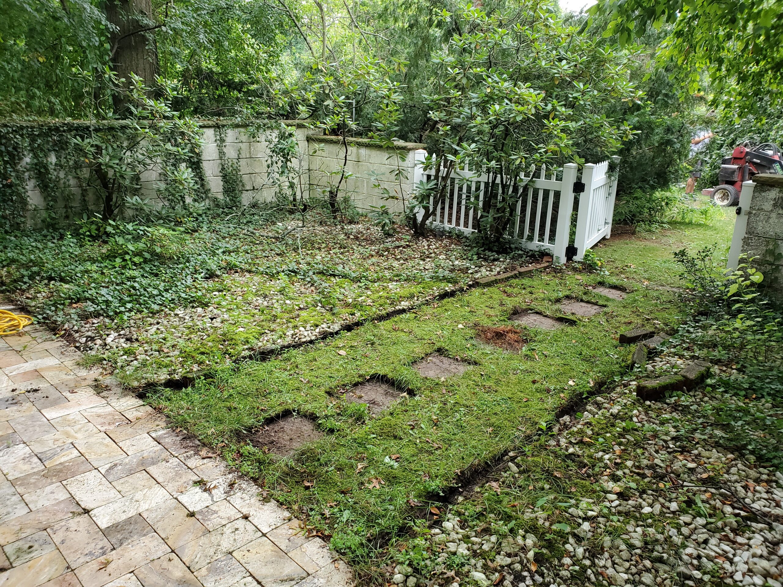 Landscape Before